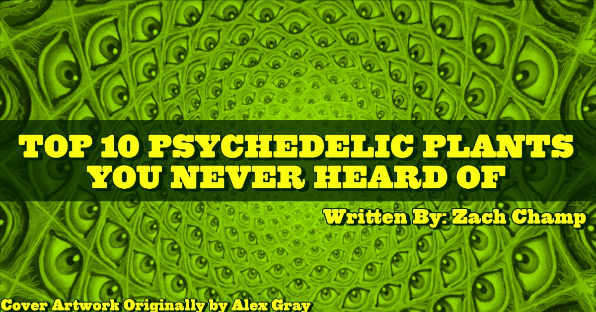 INSPIRE PRESENTS... "TOP 10 PSYCHEDELIC PLANTS YOU NEVER HEARD OF