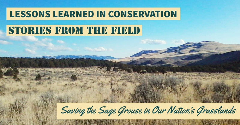 🌎 LESSONS LEARNED IN CONSERVATION: STORIES FROM THE FIELD- Saving the Sage Grouse In Our National Grasslands 🌎