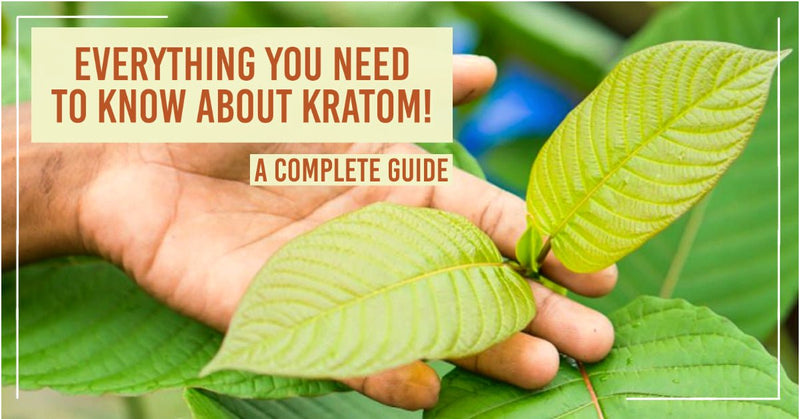 🍃 EVERYTHING YOU NEED TO KNOW ABOUT KRATOM! 🍃