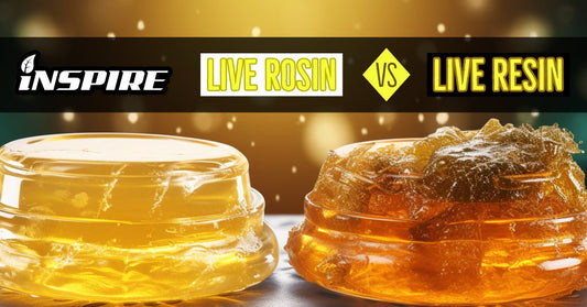 CANNABUSINESS: LIVE RESIN VS LIVE ROSIN