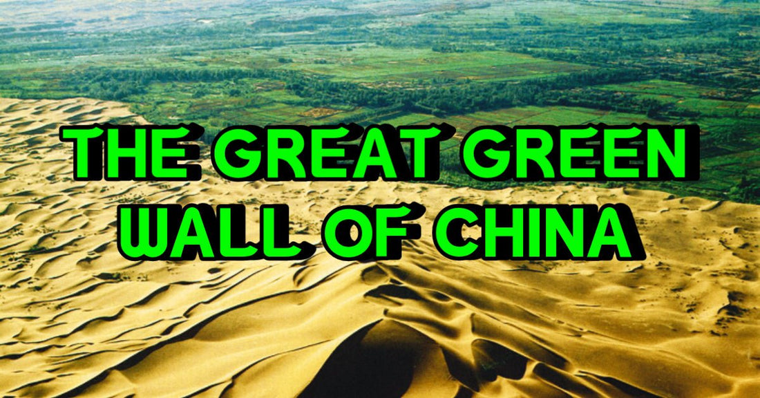 🐉 THE GREAT GREEN WALL OF CHINA🐉