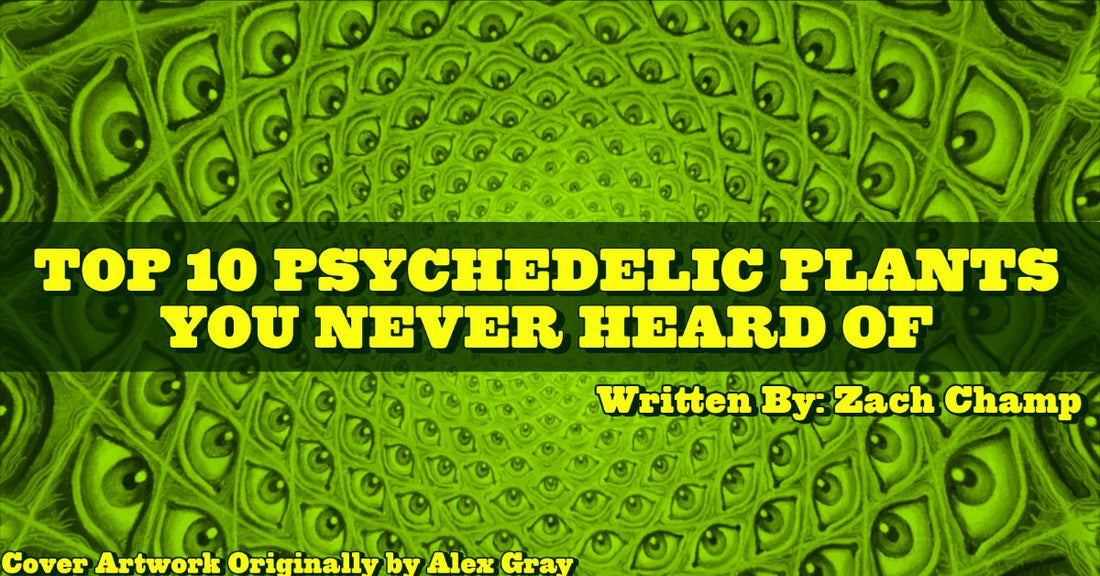 INSPIRE PRESENTS... "TOP 10 PSYCHEDELIC PLANTS YOU NEVER HEARD OF!"