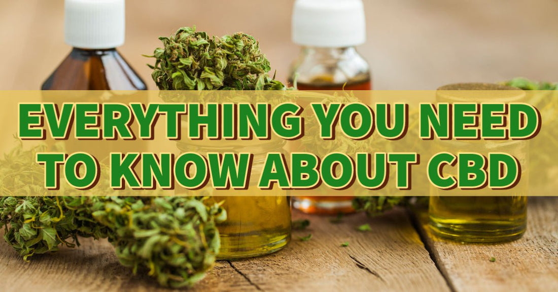 EVERYTHING YOU NEED TO KNOW ABOUT CBD