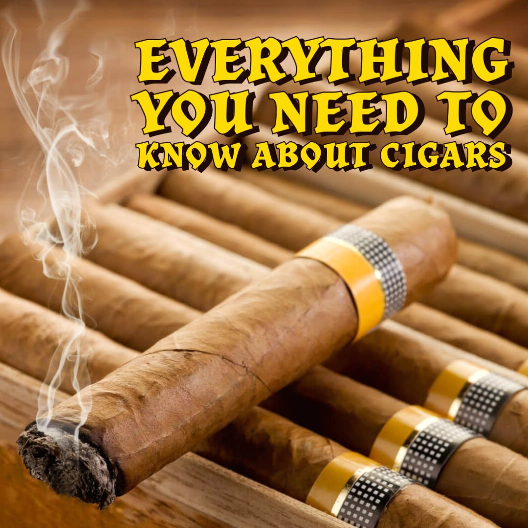 🚬 EVERYTHING YOU NEED TO KNOW ABOUT CIGARS! 🚬
