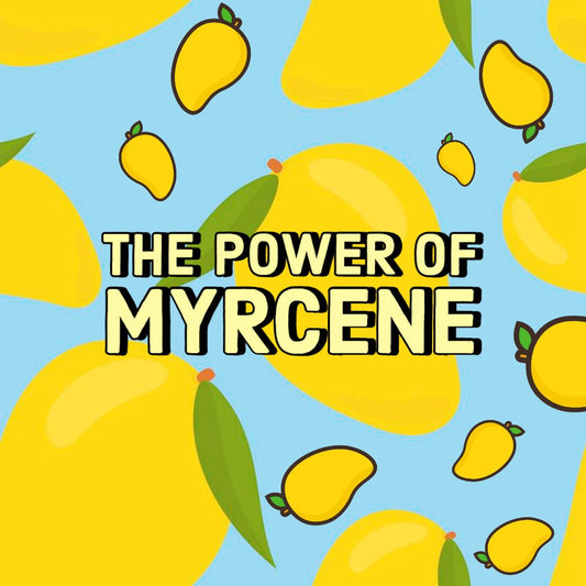 🍋 THE POWER OF MYRCENE 🍋