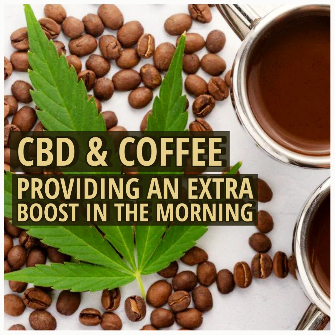 ☕️ CBD & COFFEE: PROVIDING AN EXTRA BOOST IN THE MORNING ☕️