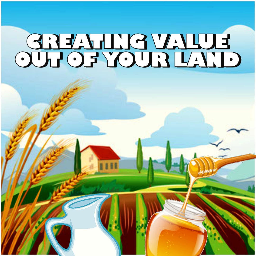 👩‍🌾 CREATING VALUE OUT OF YOUR LAND