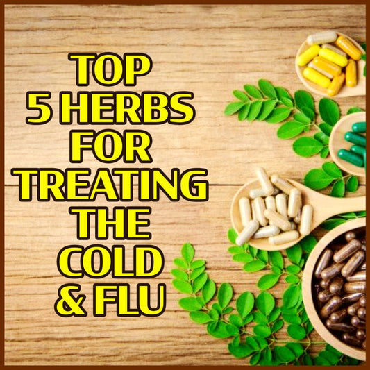 TOP 5 HERBS FOR TREATING THE FLU & COLD