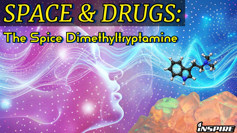 SPACE AND DRUGS: The Spice Dimethyltryptamine