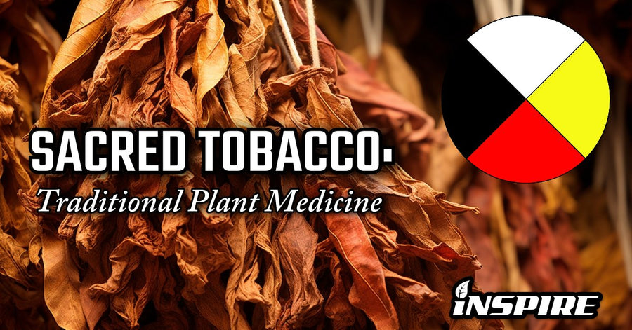 Sacred Tobacco: Traditional Plant Medicine